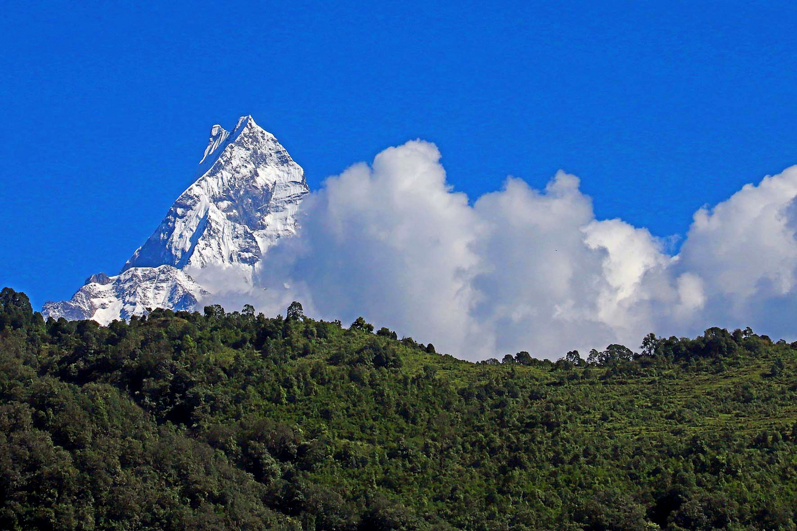 Machapuchare, Nepal