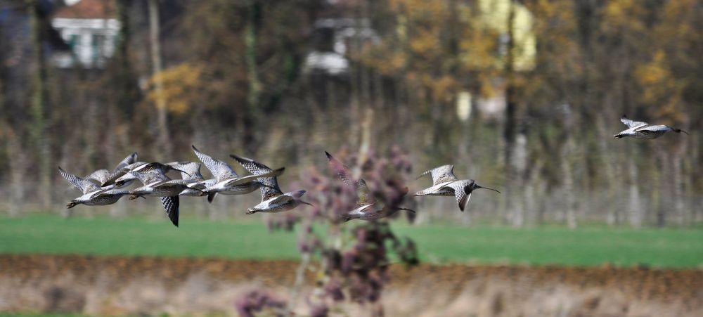 Machen einen Abflug