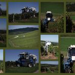 MACHINES A VENDANGER DANS LE VIGNOBLE JURASSIEN