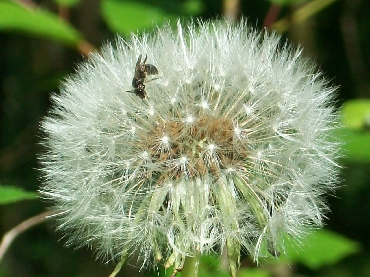 Mach´keinen Wind!