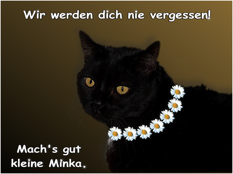 Mach's gut kleine Minka