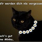 Mach's gut kleine Minka