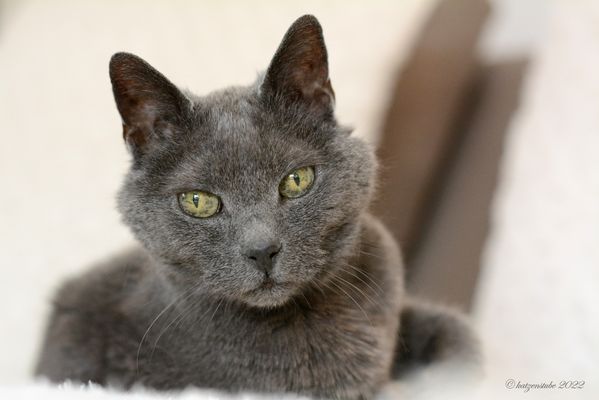 Machs gut mein Schatz