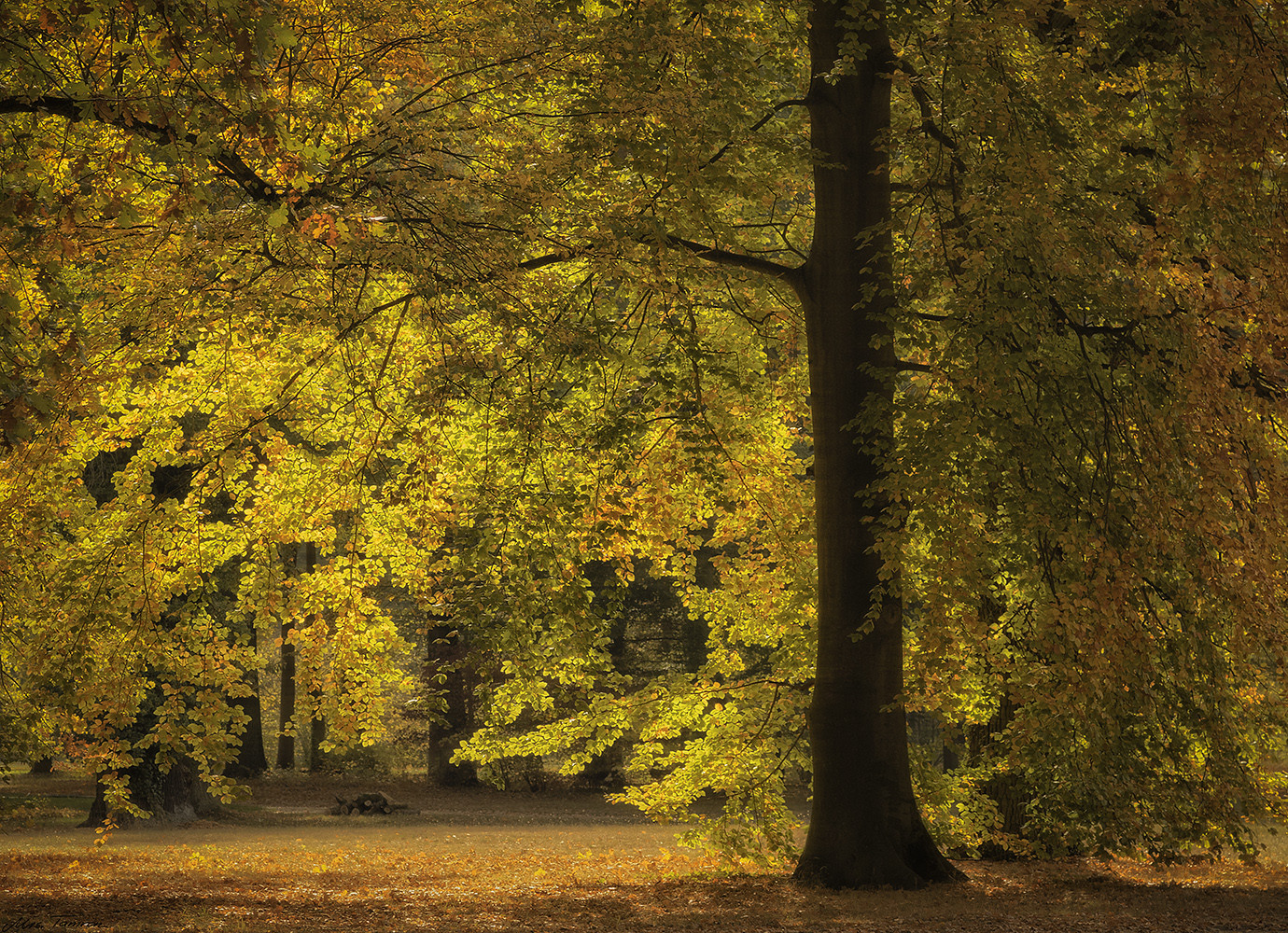 Mach`s gut Oktober ...