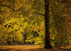 Mach`s gut Oktober ...