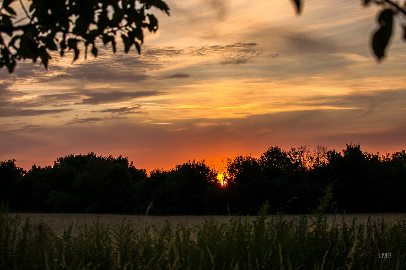 Mach's gut Sommer!