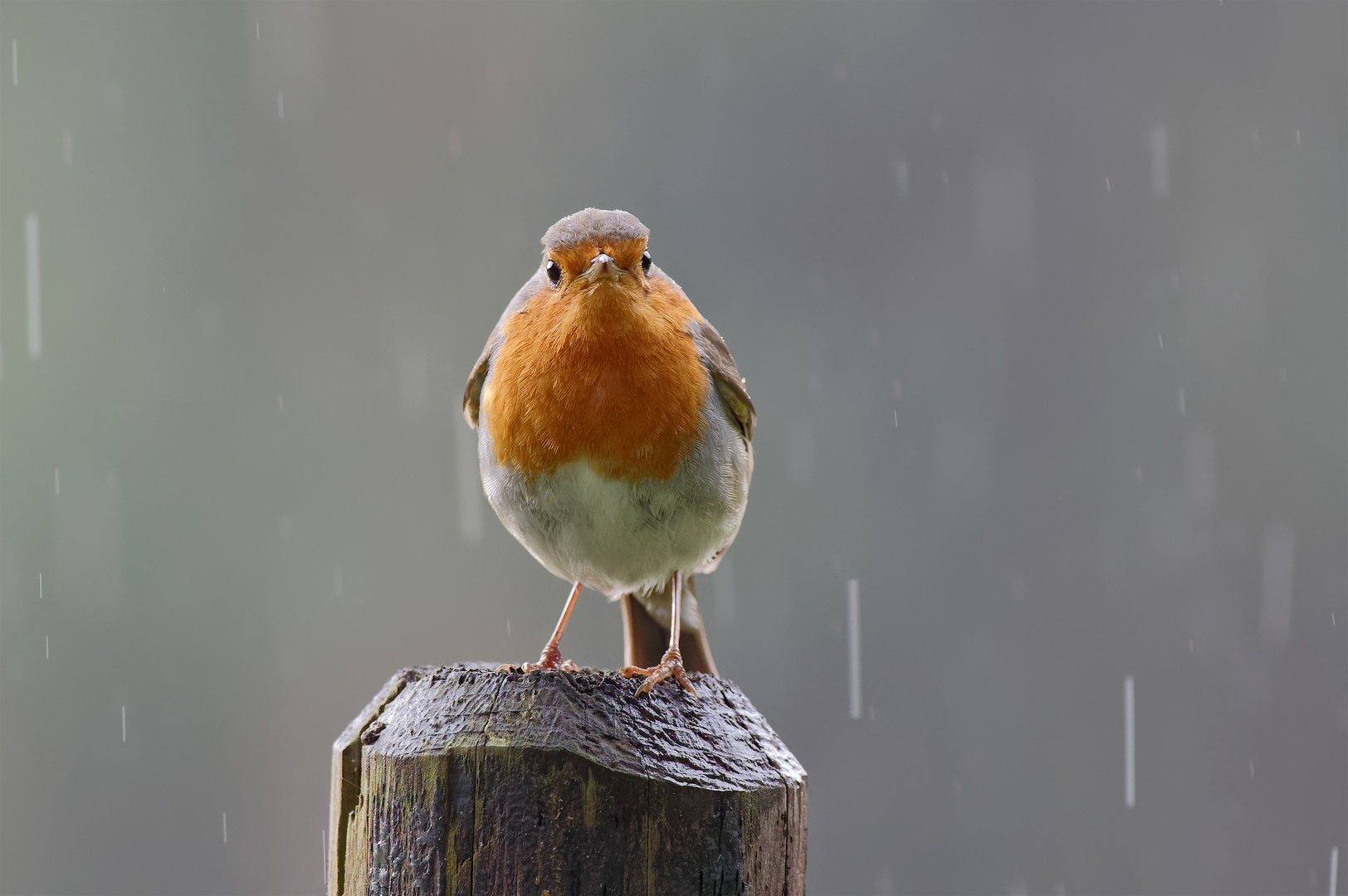 Machst Du das Wetter?