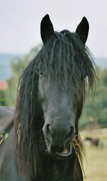 Machste mir jetzt mein Lippenpircing???