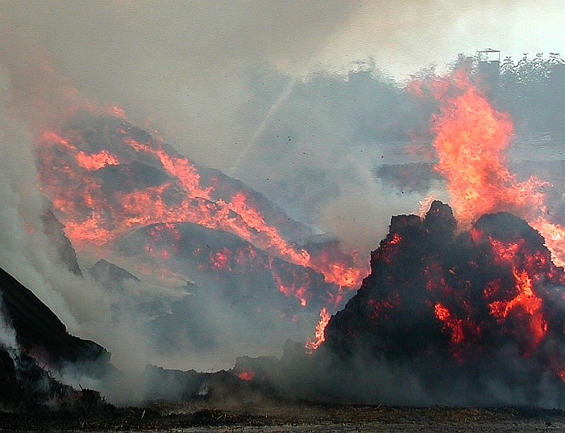 Macht des Feuers! Das lebende Wesen!