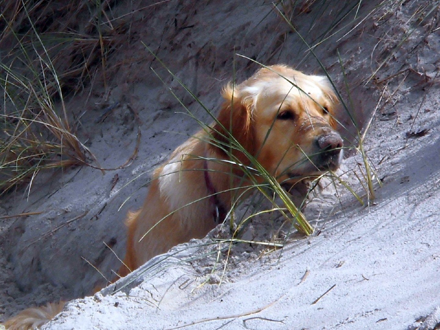 macht euch dünne , mein Strand