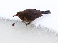 ... macht hungrig