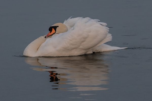 macht kein langen Hals!!