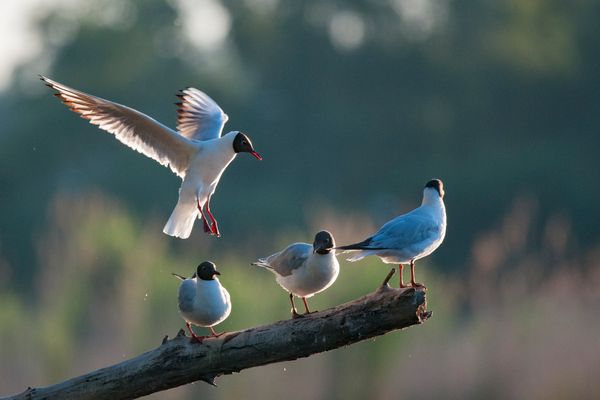 Macht mal Platz ich will noch dazwischen!!