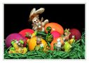 Macht voran, sonst ist Ostern bald vorbei ! by Sabine Suess 