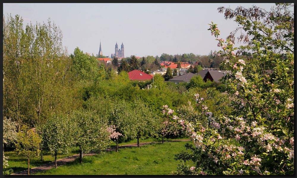 Machteburjer Frühling...