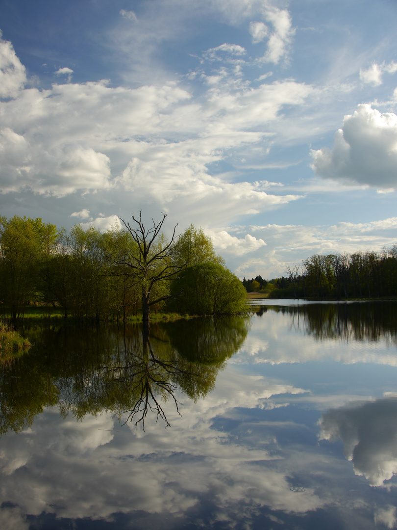Machtlfing_Weiher Foto & Bild landschaft, bach, fluss & see, see