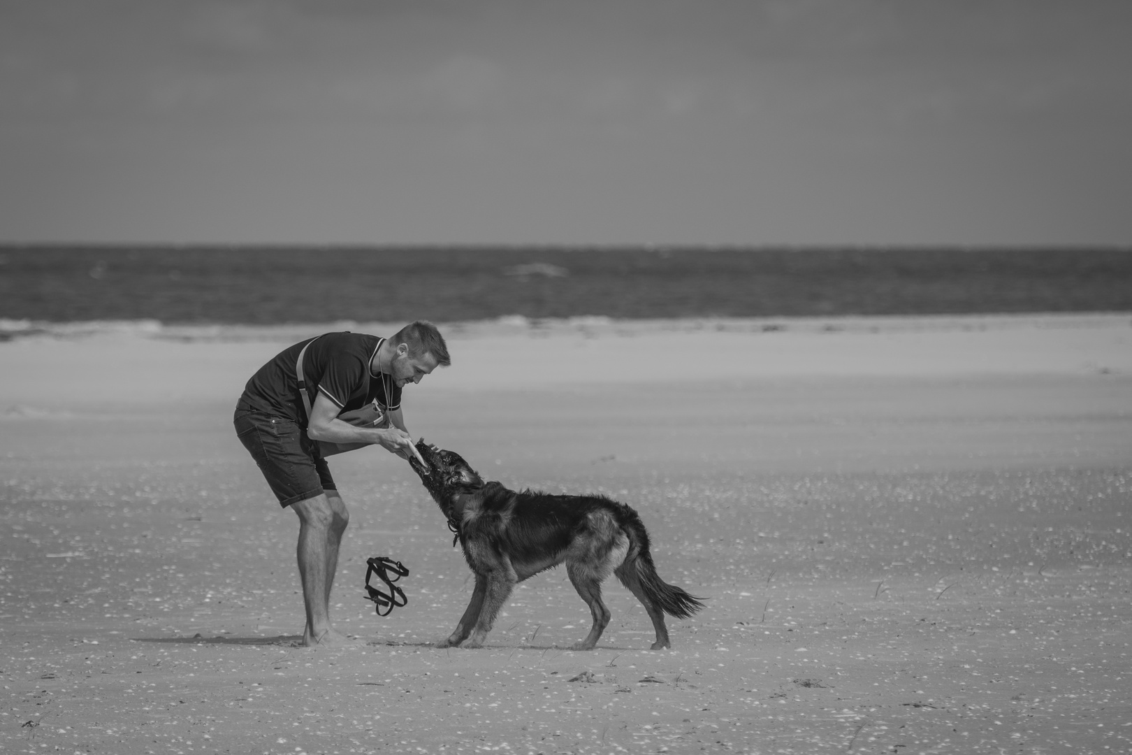 Machtprobe Foto &amp; Bild | tiere, streetfotografie mit menschen, tier und ...