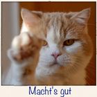 Machts gut...