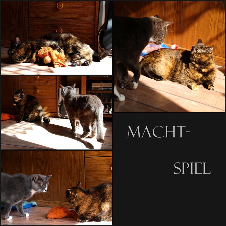 Machtspiel