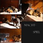 Machtspiel