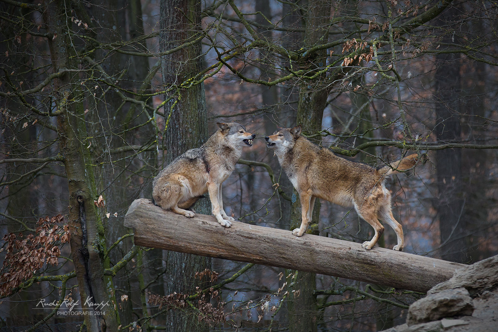 Machtspielchen