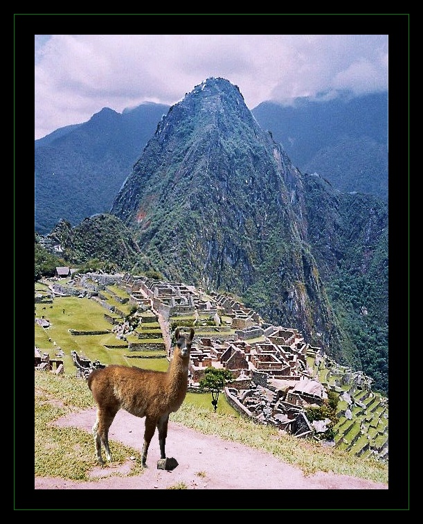 machu picchu