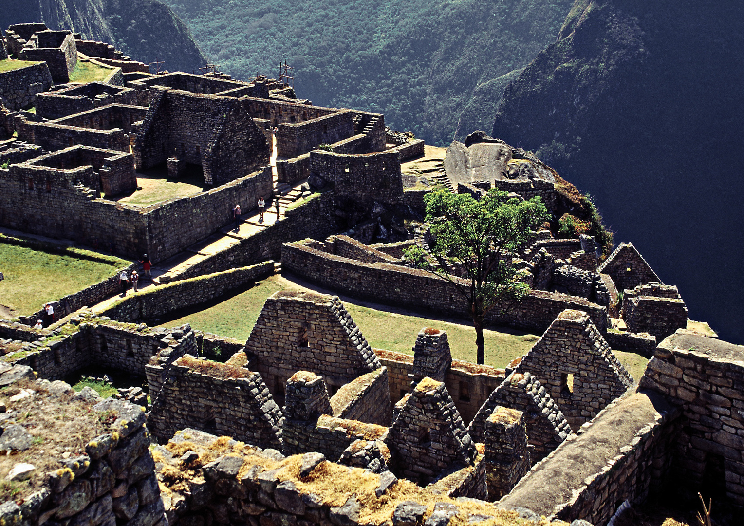 Machu Picchu 03