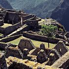 Machu Picchu 03