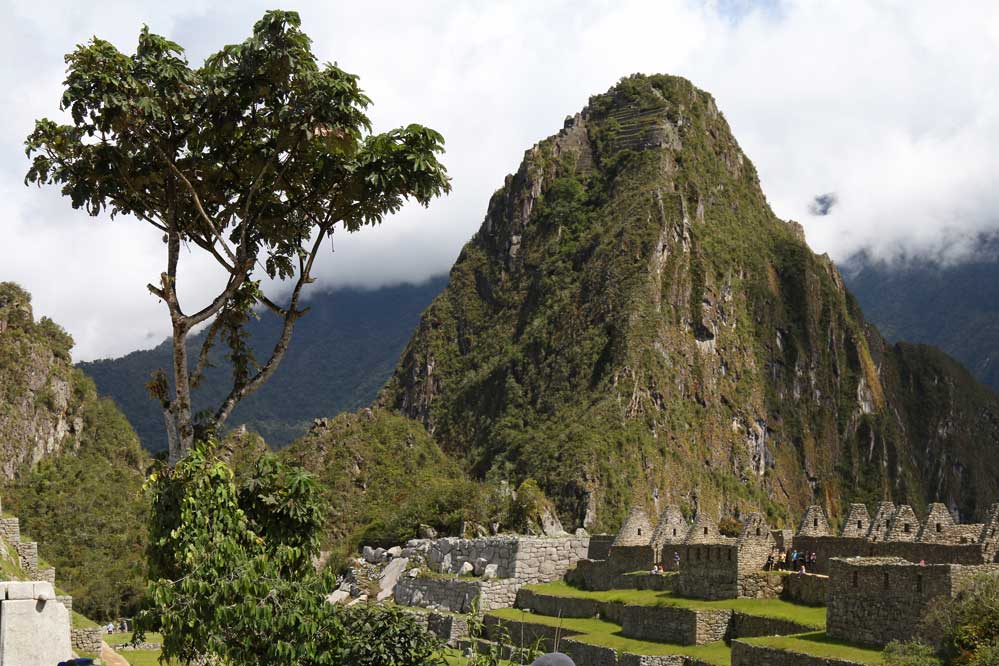 Machu Picchu (05)