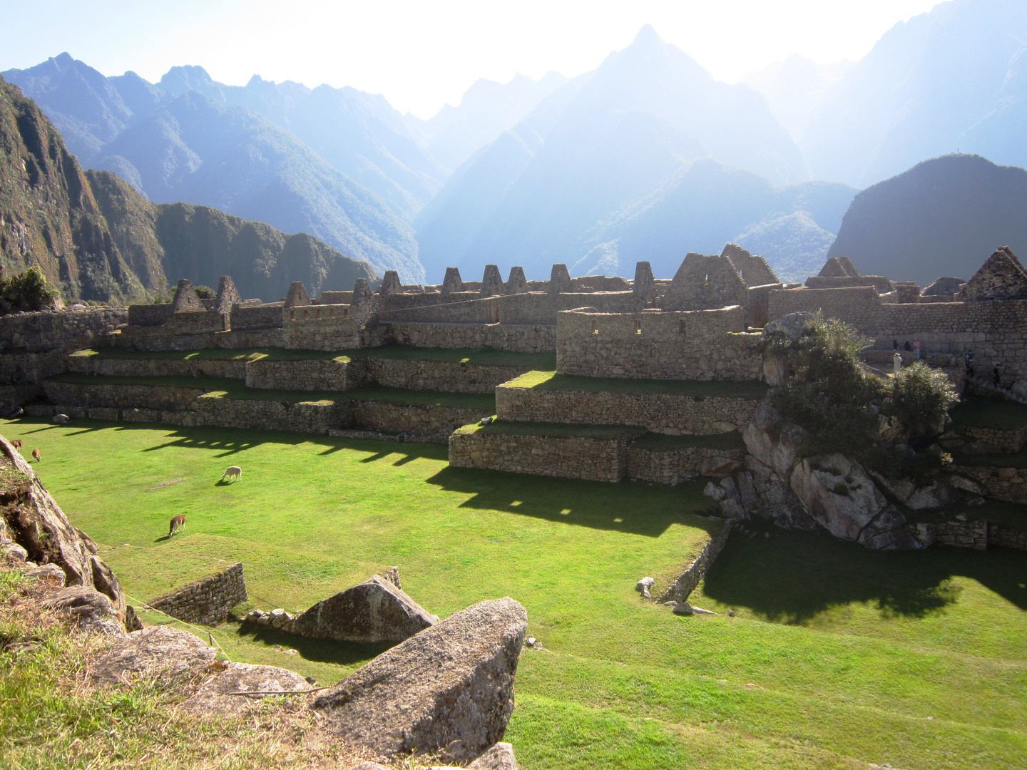 Machu Picchu 10