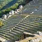 Machu Picchu 13