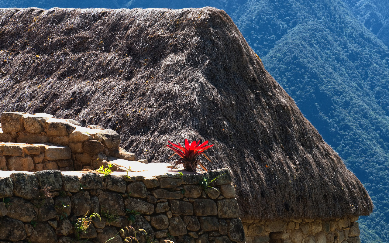 Machu Picchu 13