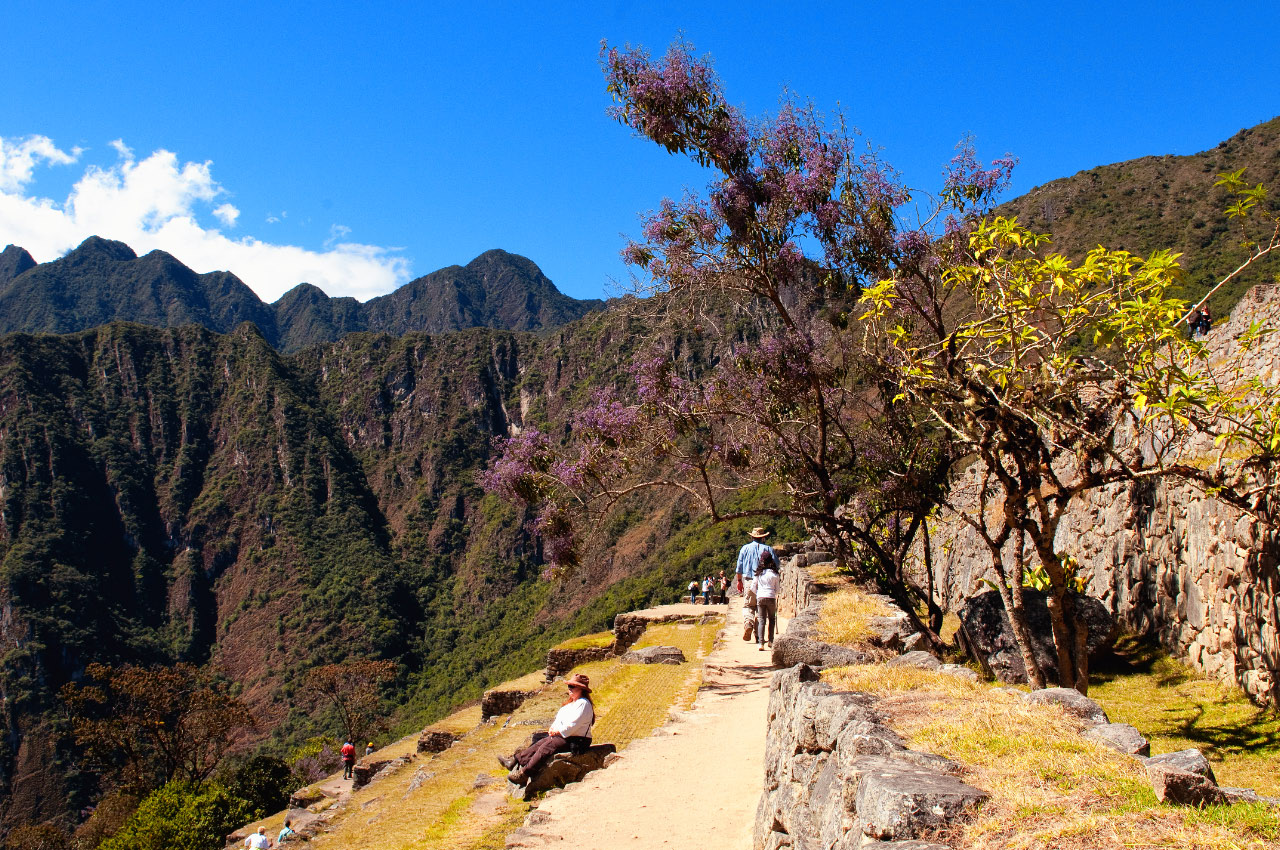 Machu Picchu 15