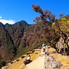 Machu Picchu 15