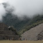 Machu Picchu (2)