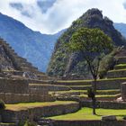 Machu Picchu 2