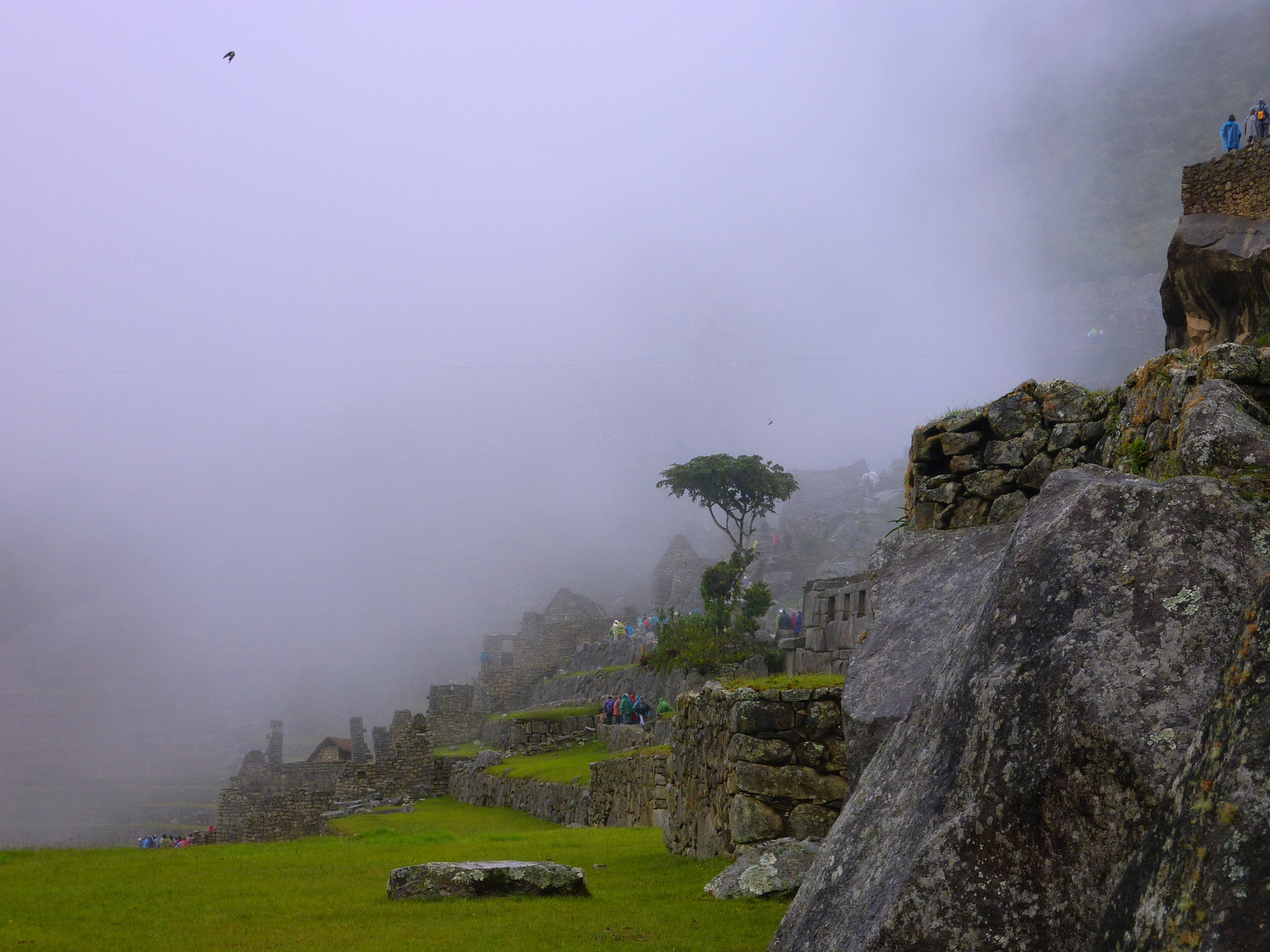 Machu Picchu 2