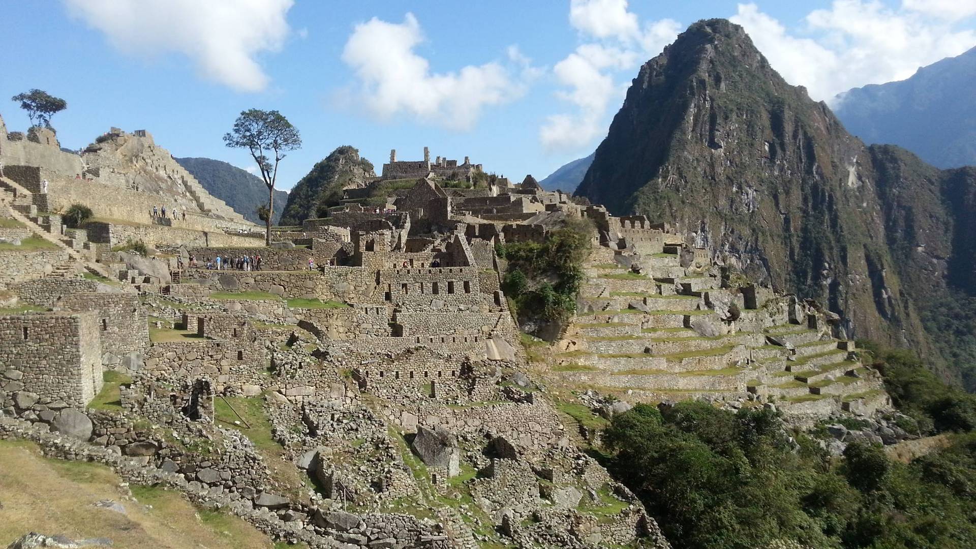 Machu Picchu