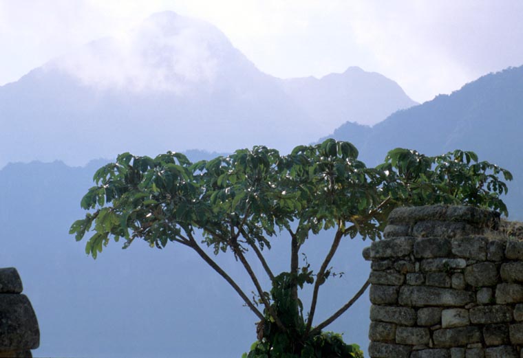 Machu Picchu 3