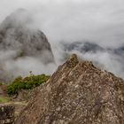 MACHU PICCHU (30)  