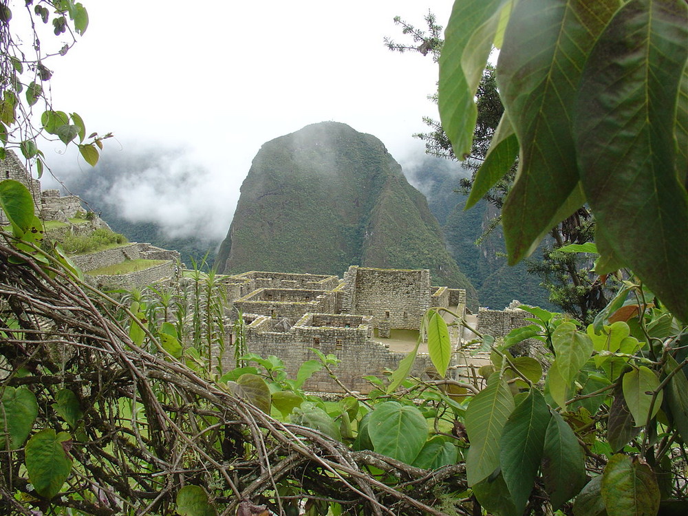 Machu Picchu