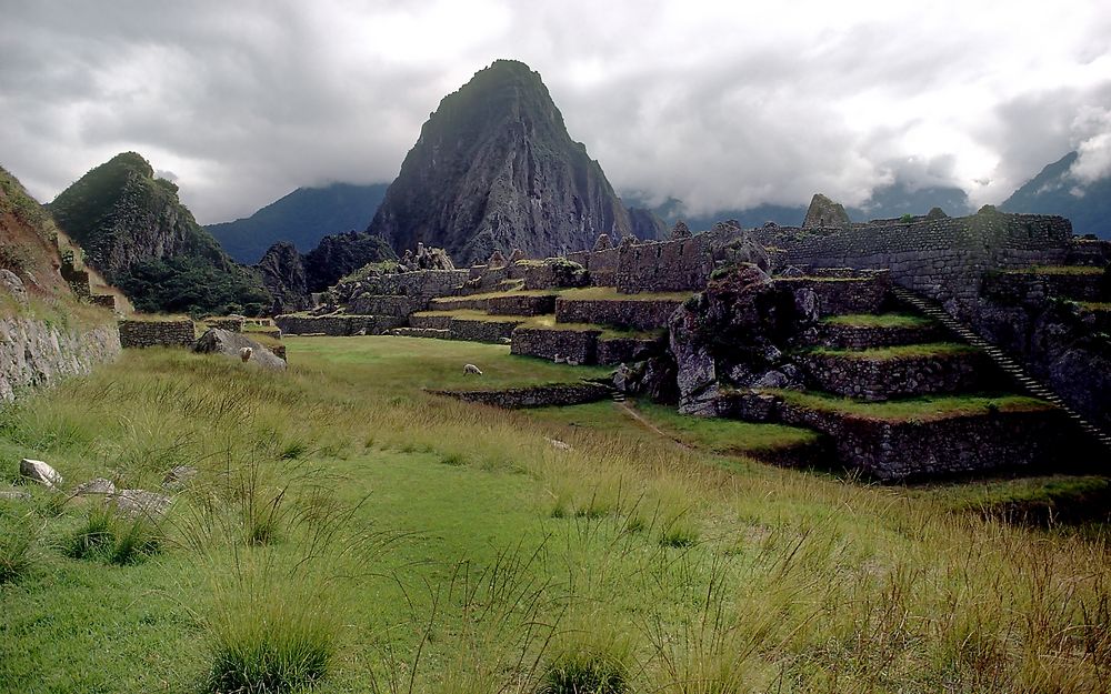 Machu Picchu