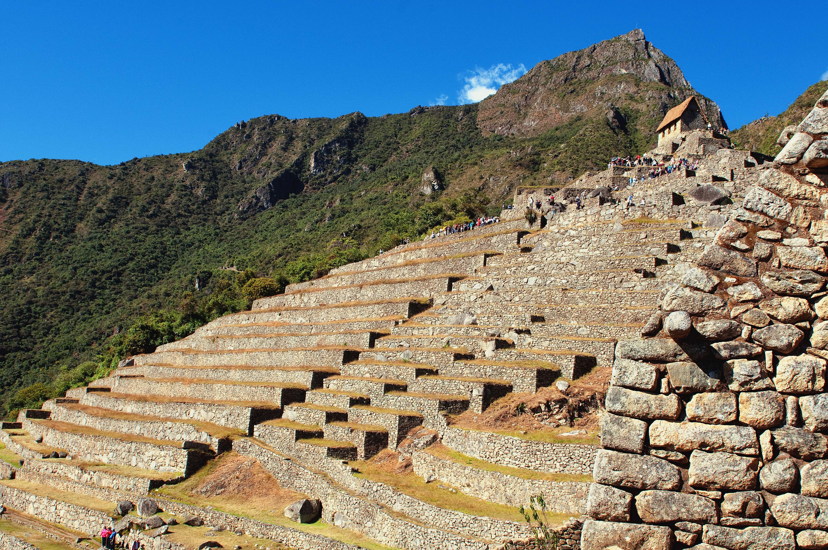 Machu Picchu 4