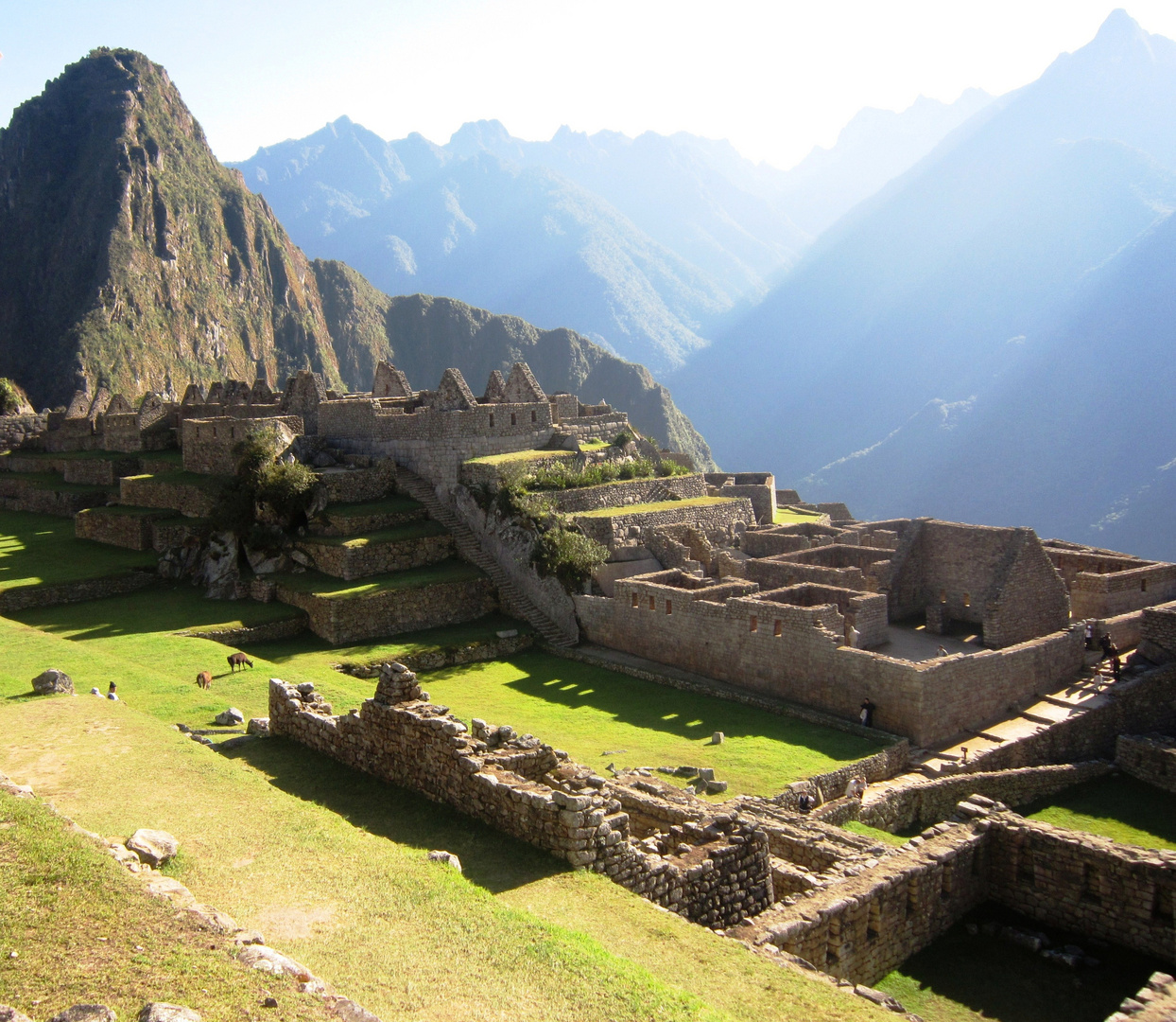 Machu PIcchu 5