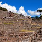 Machu Picchu 5