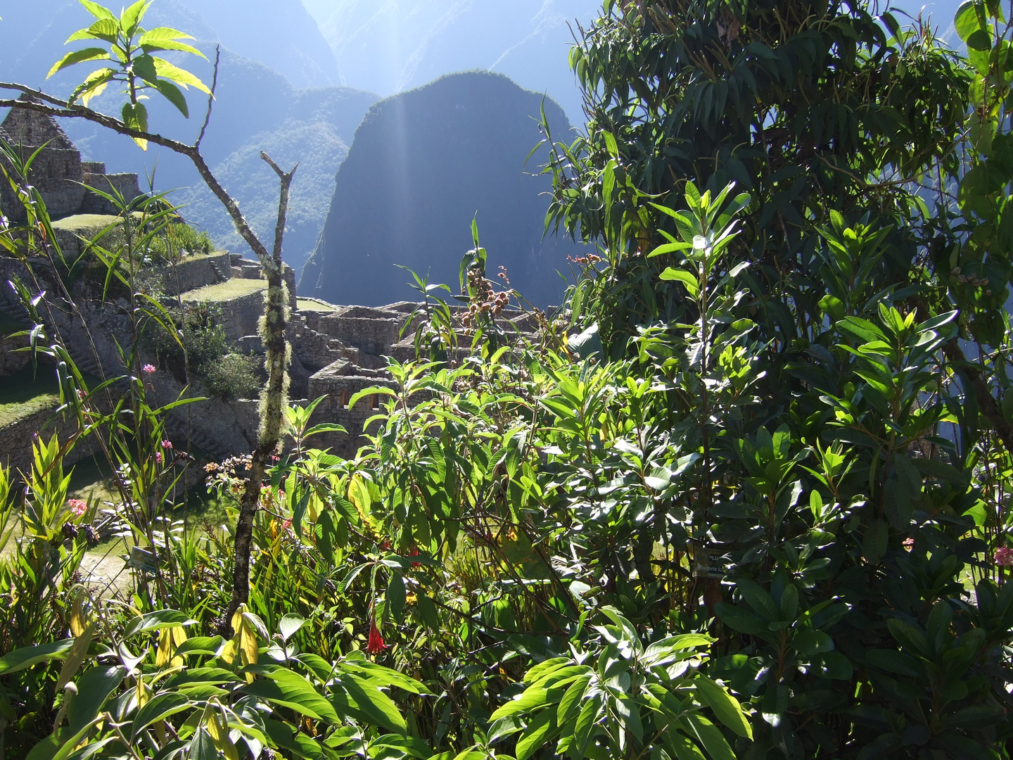 Machu Picchu