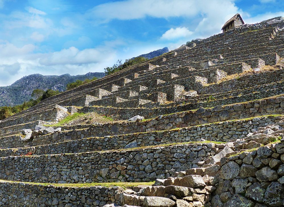 Machu Picchu 6