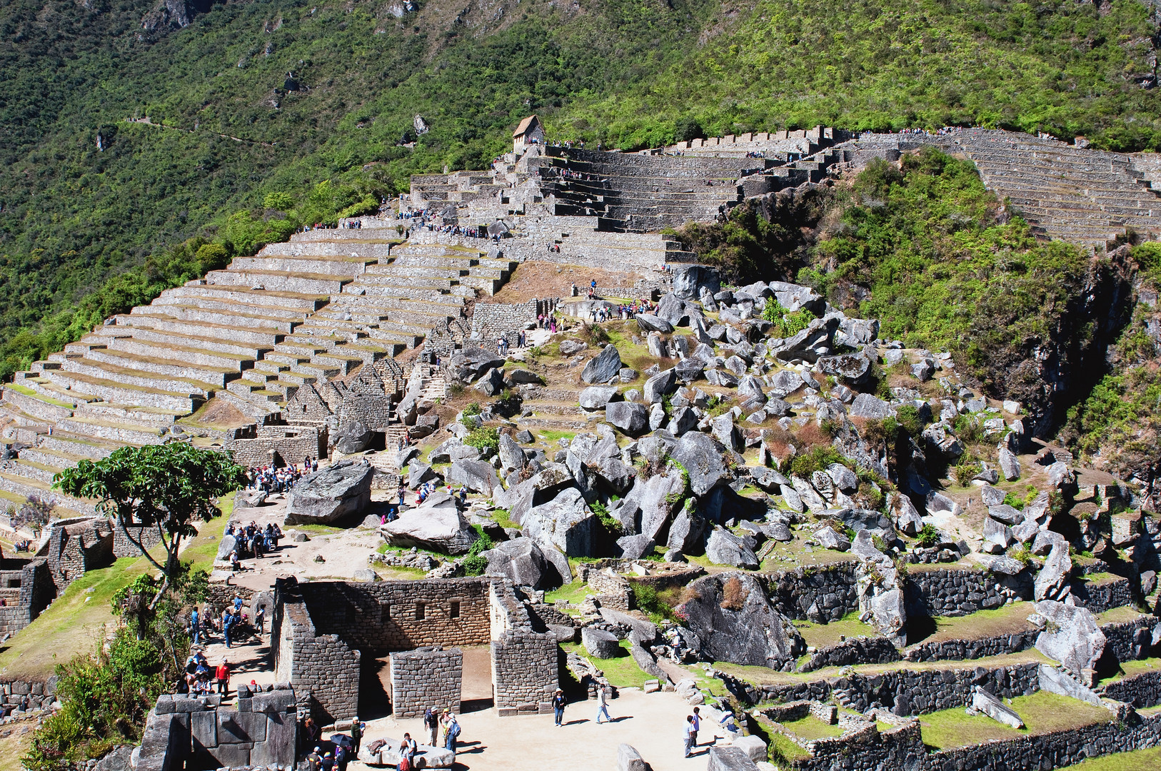 Machu Picchu 6