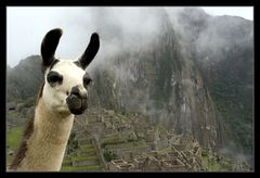 ... Machu Picchu ...