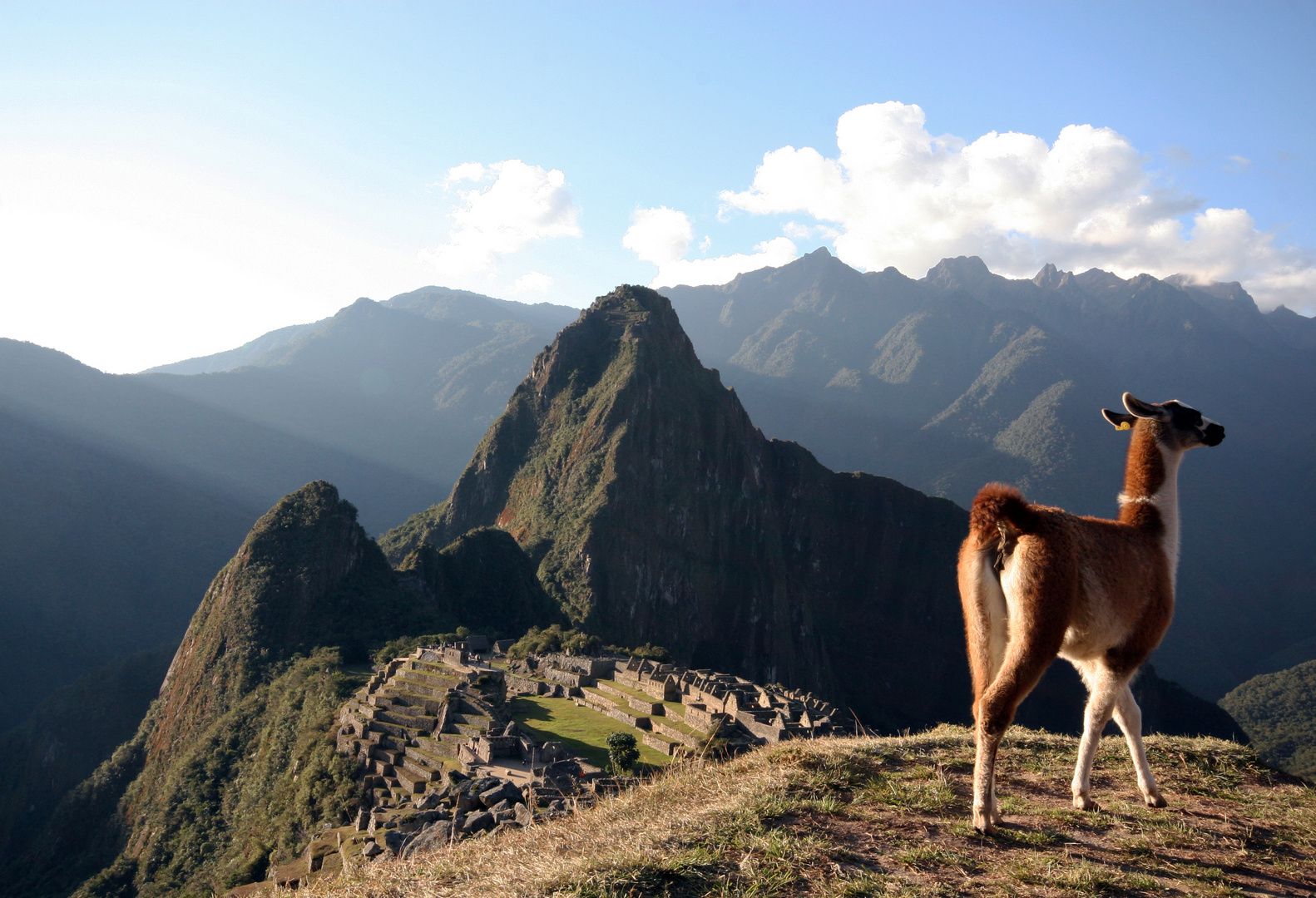 Machu Picchu